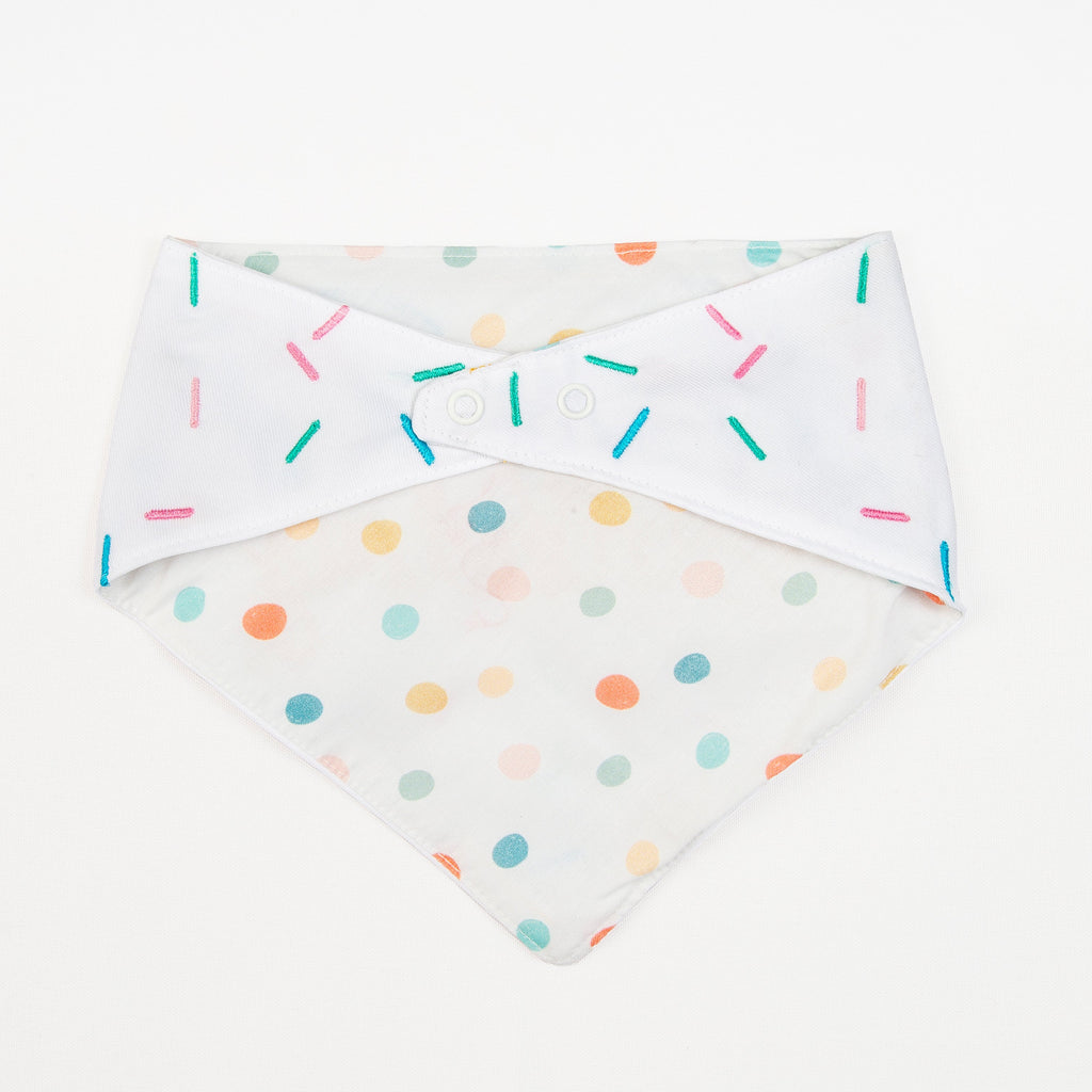 Pawty Time Birthday Bandana for Dogs Colorful