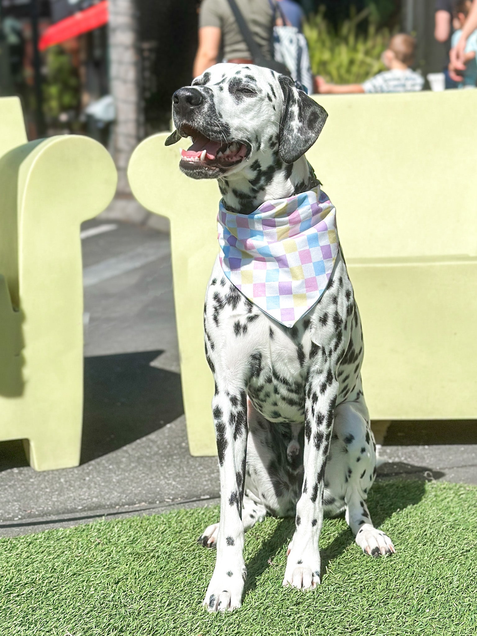 Spring Checkered Dog Bandana - Bright and Colorful