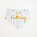 Pawty Time Birthday Bandana for Dogs Colorful