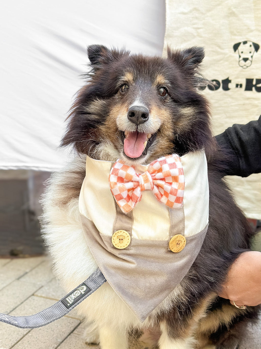 Pet Bandana Suspender Checkered | Autumn Collection - Fall