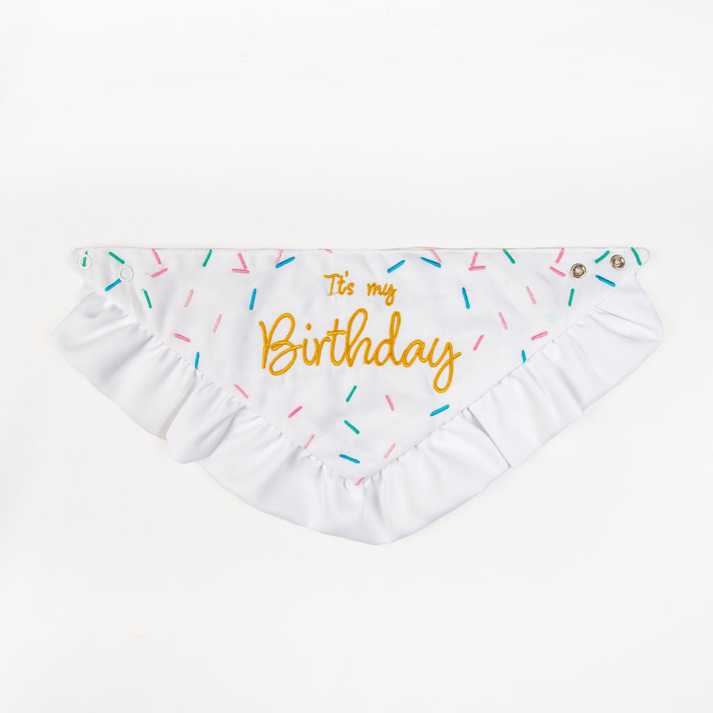 Bandana Pawty Time Skirt Birthday for Dogs Colorful