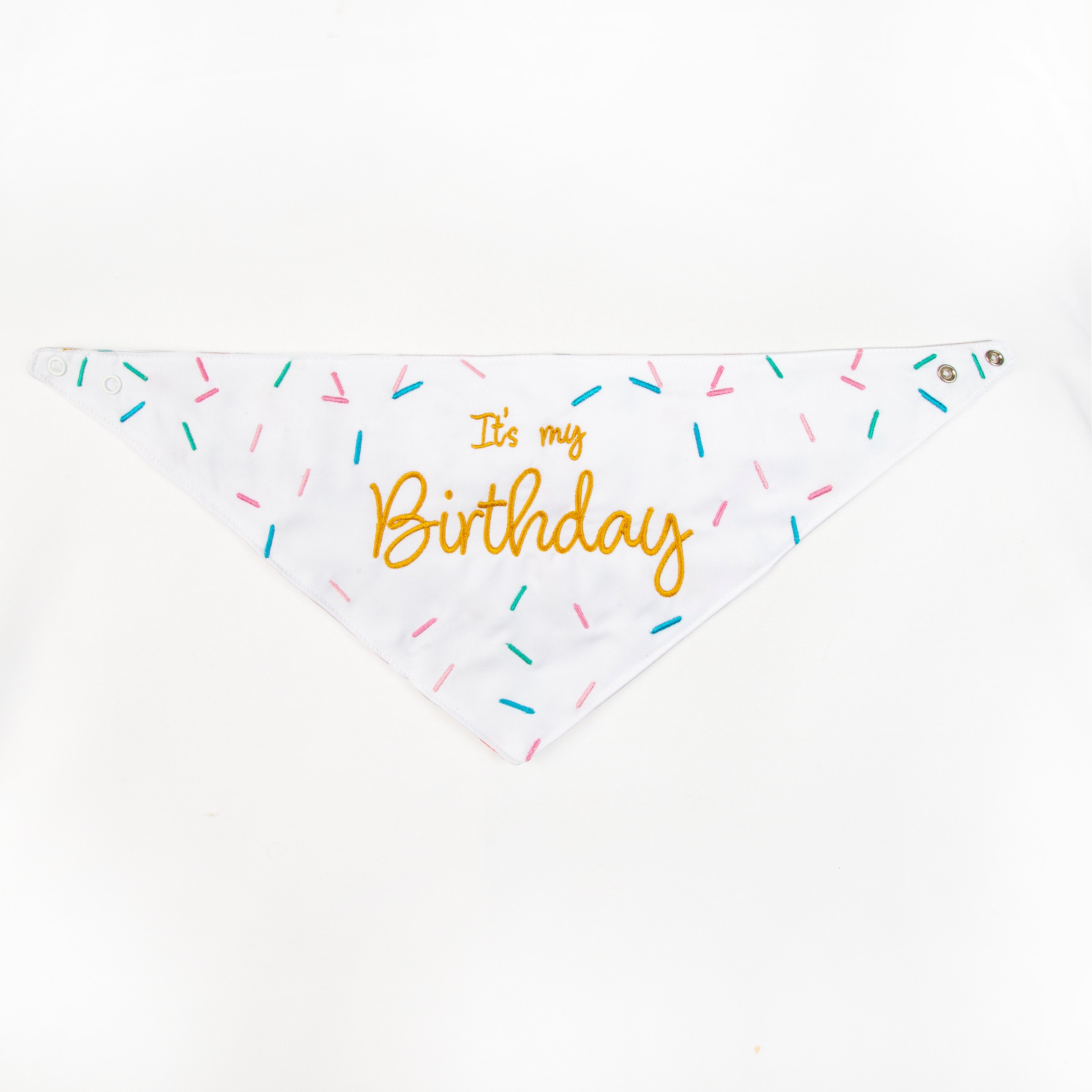 Pawty Time Birthday Bandana for Dogs Colorful