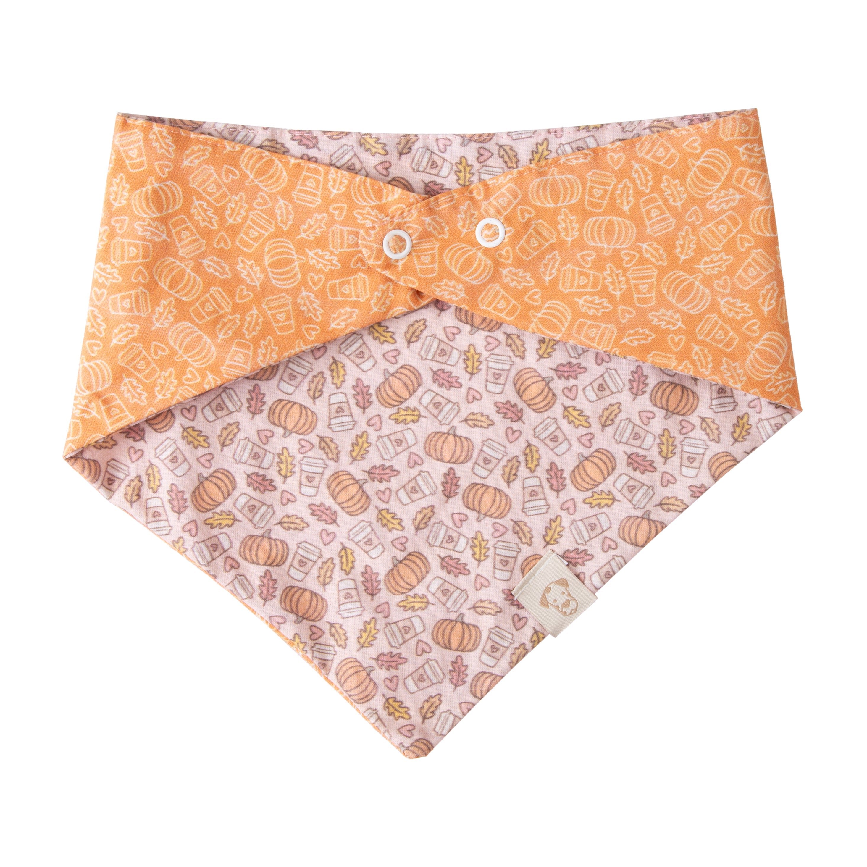 Fall Pet Bandana Pumpkin Spice Latte