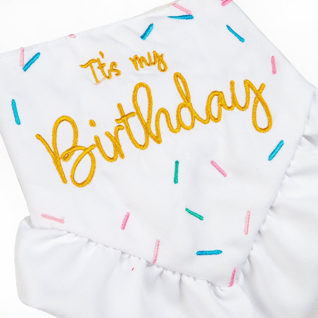 Bandana Pawty Time Skirt Birthday for Dogs Colorful