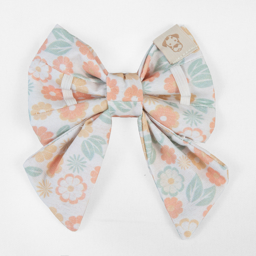 Pet Sailor Bow Sunrise Flower | Blooming Collection