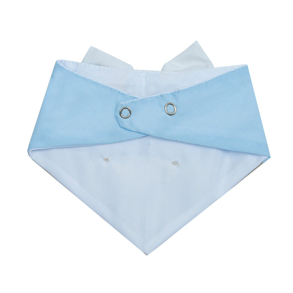 Dog Bandana Love Heart Suspender | Valentines Day