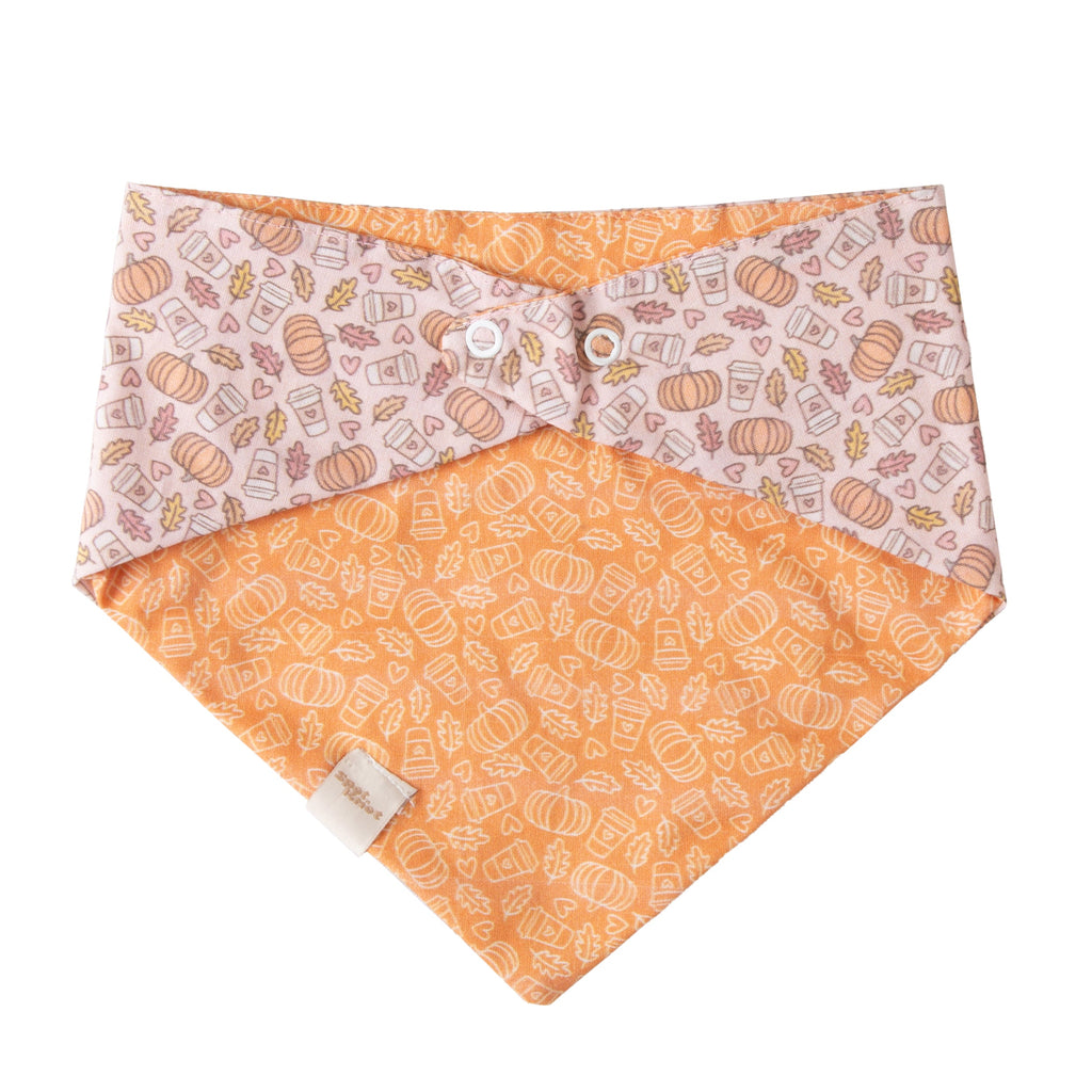 Fall Pet Bandana Pumpkin Spice Latte