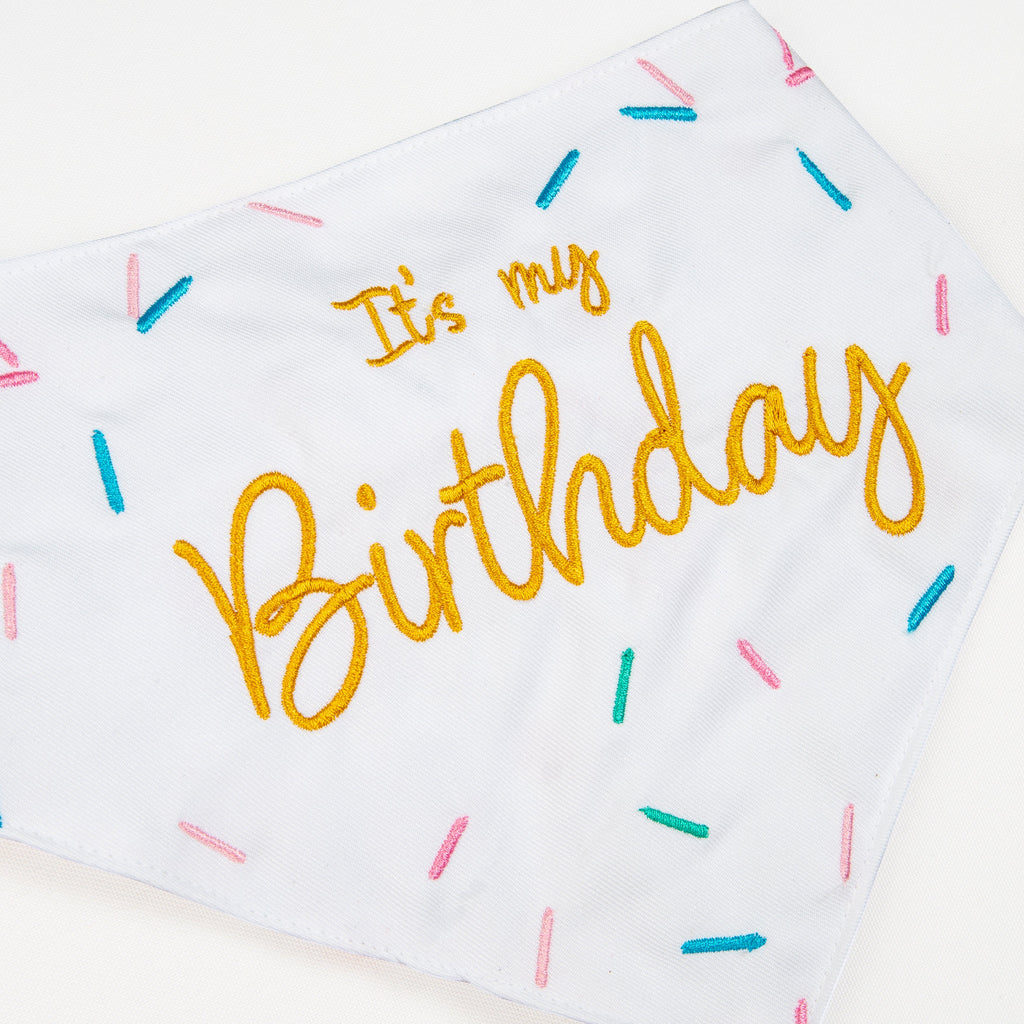 Pawty Time Birthday Bandana for Dogs Colorful