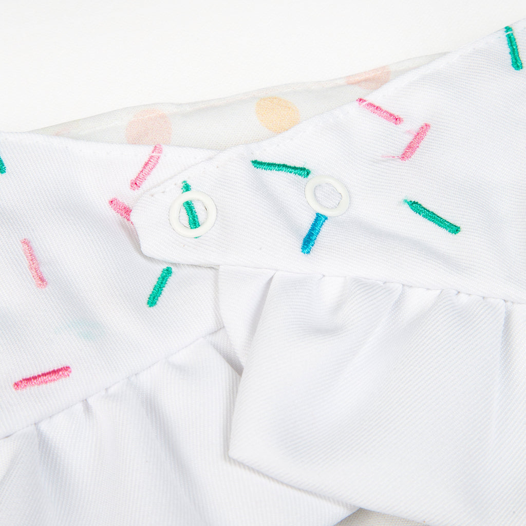 Bandana Pawty Time Skirt Birthday for Dogs Colorful