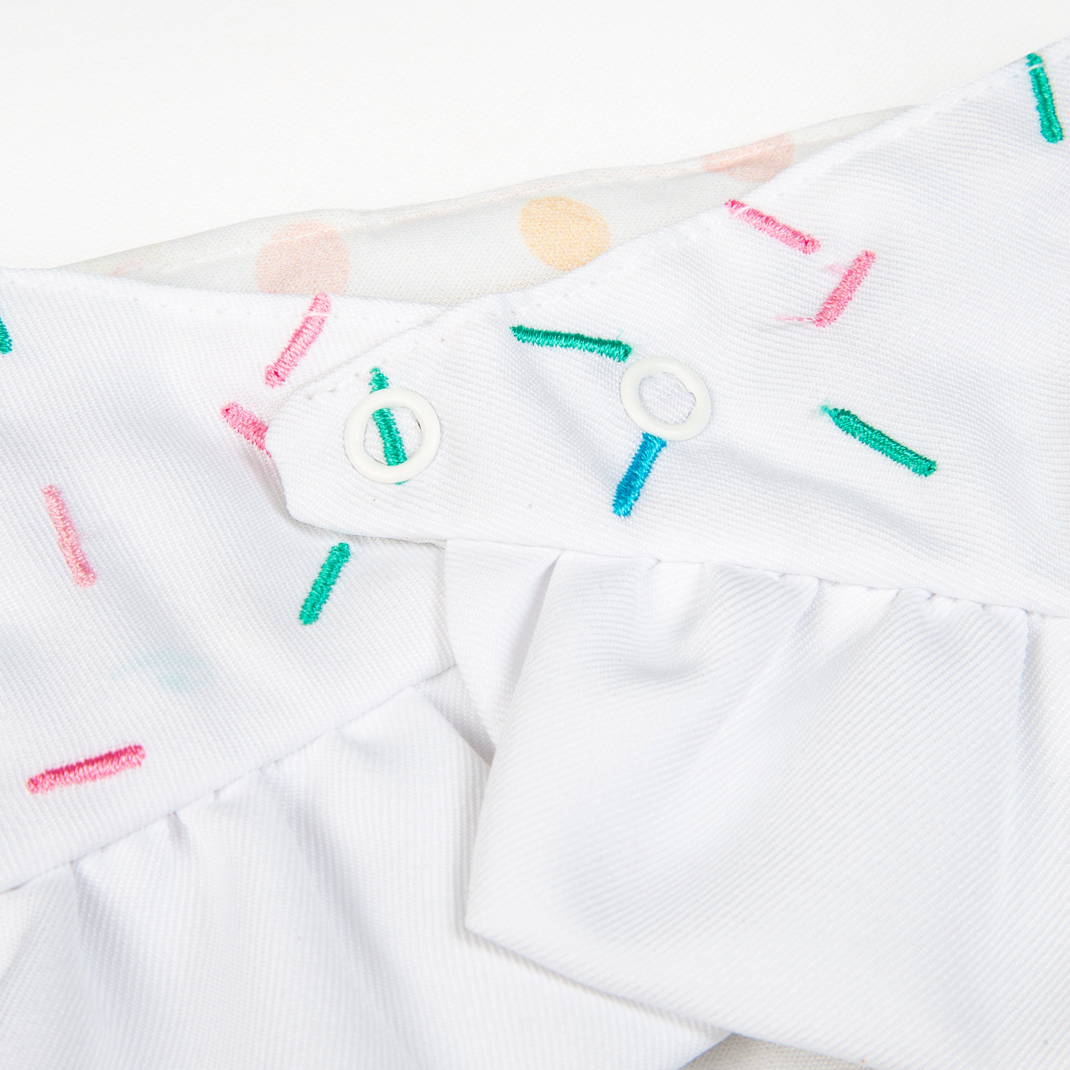 Bandana Pawty Time Skirt Birthday for Dogs Colorful