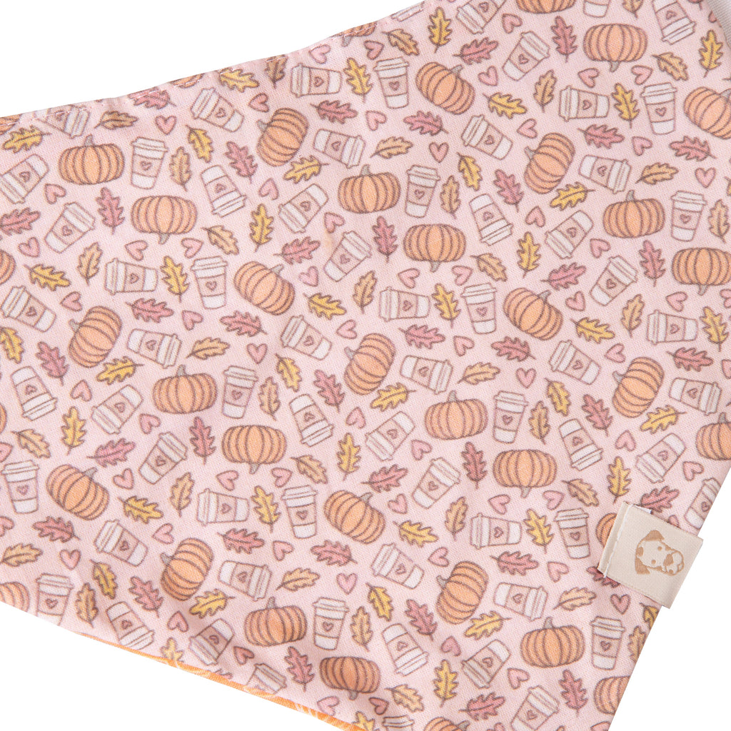 Fall Pet Bandana Pumpkin Spice Latte