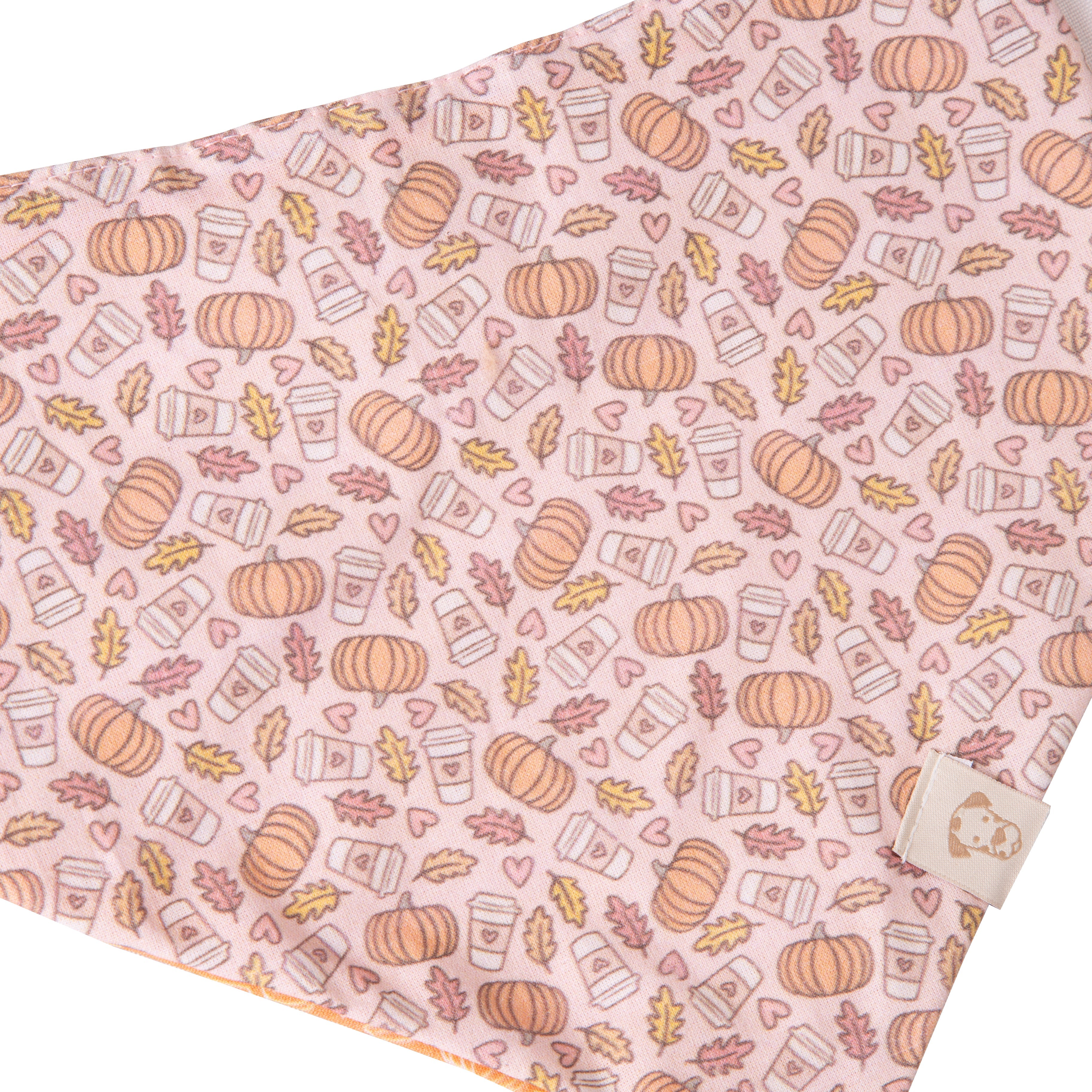 Fall Pet Bandana Pumpkin Spice Latte