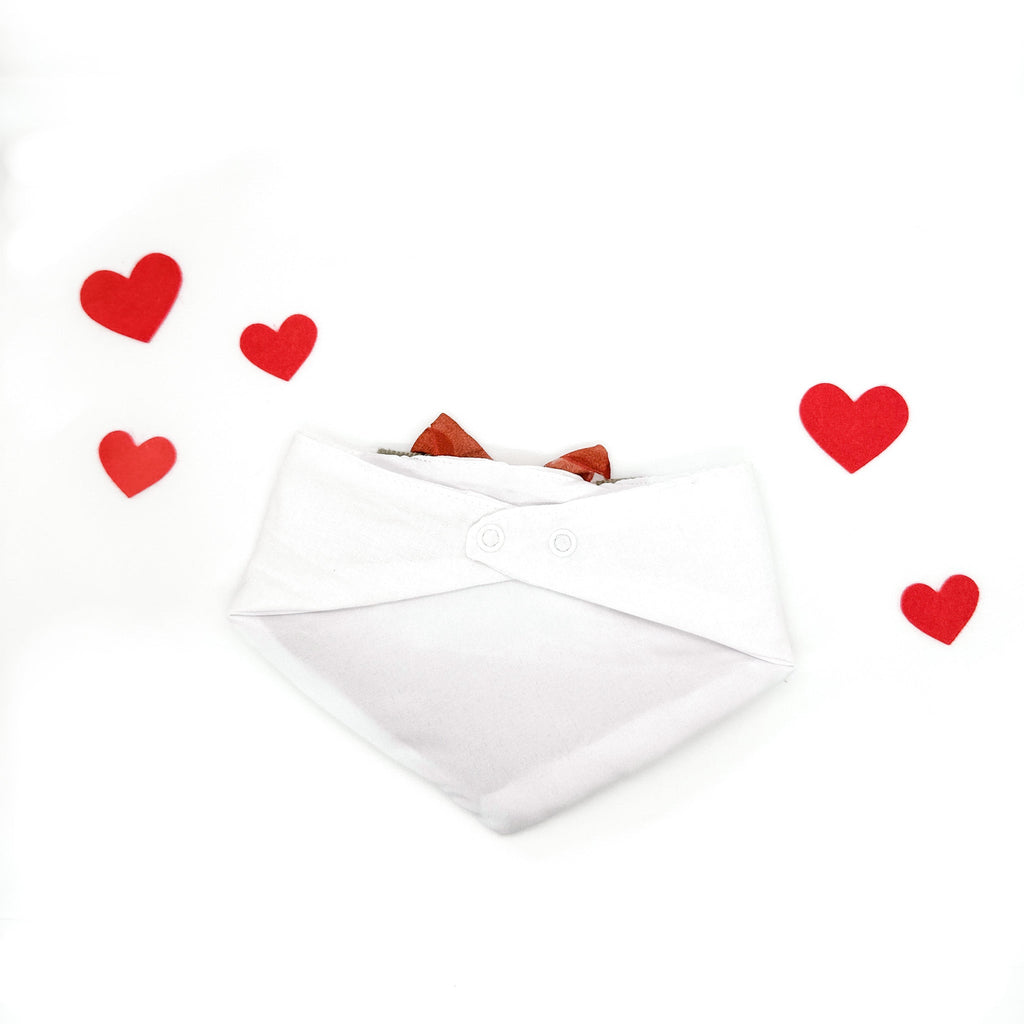 Dog Bandana Love Suspender | Valentines Day