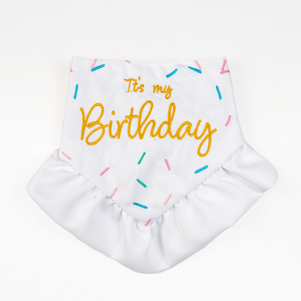 Bandana Pawty Time Skirt Birthday for Dogs Colorful