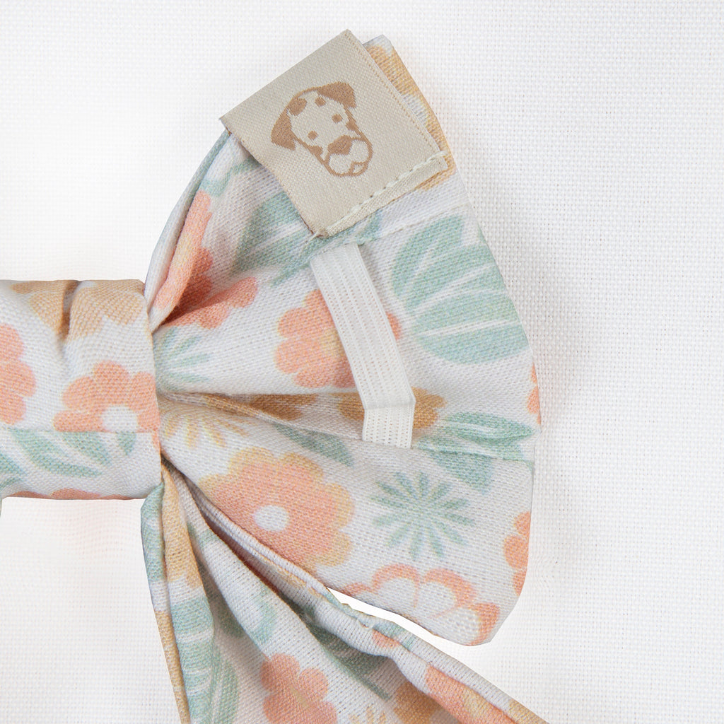 Pet Sailor Bow Sunrise Flower | Blooming Collection