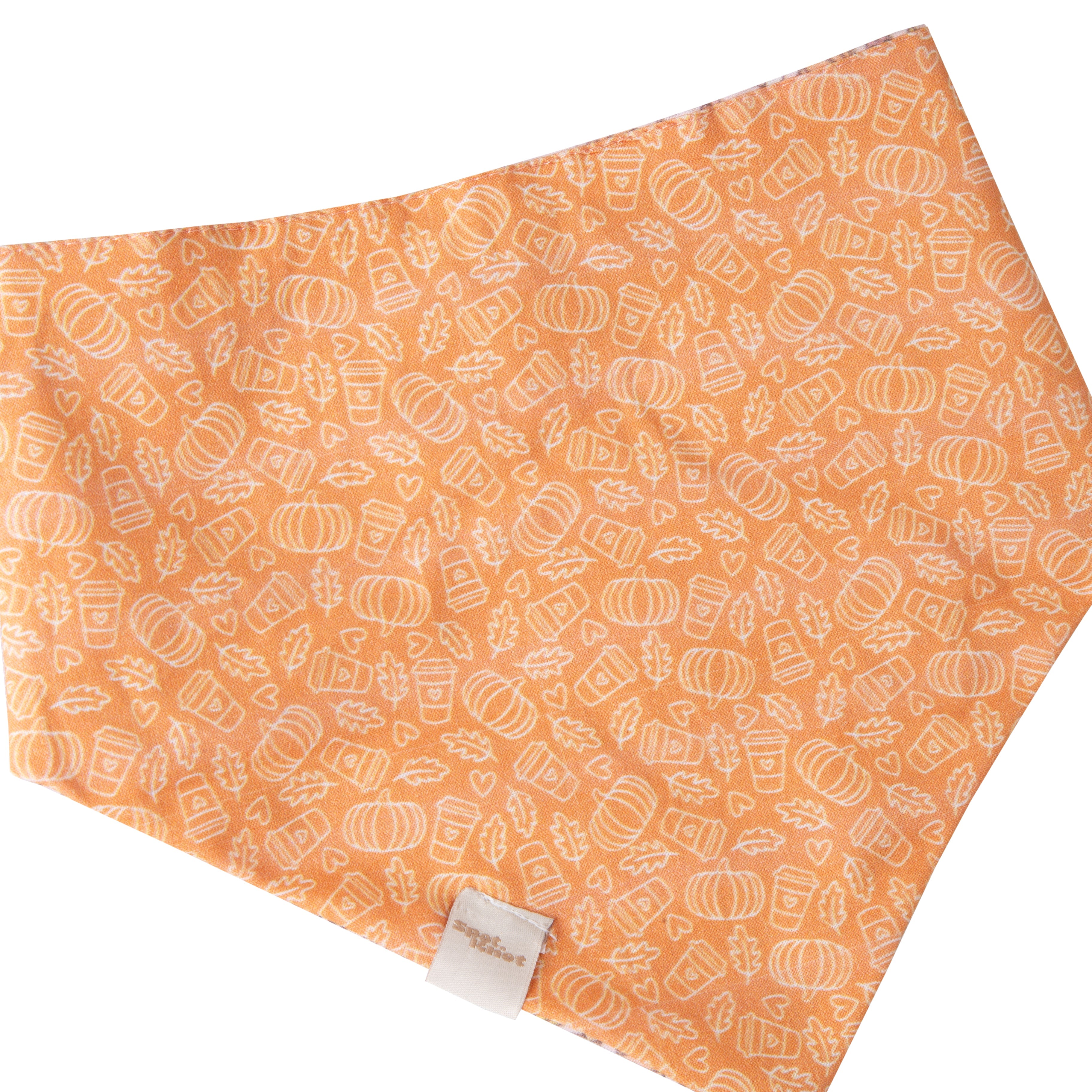 Fall Pet Bandana Pumpkin Spice Latte
