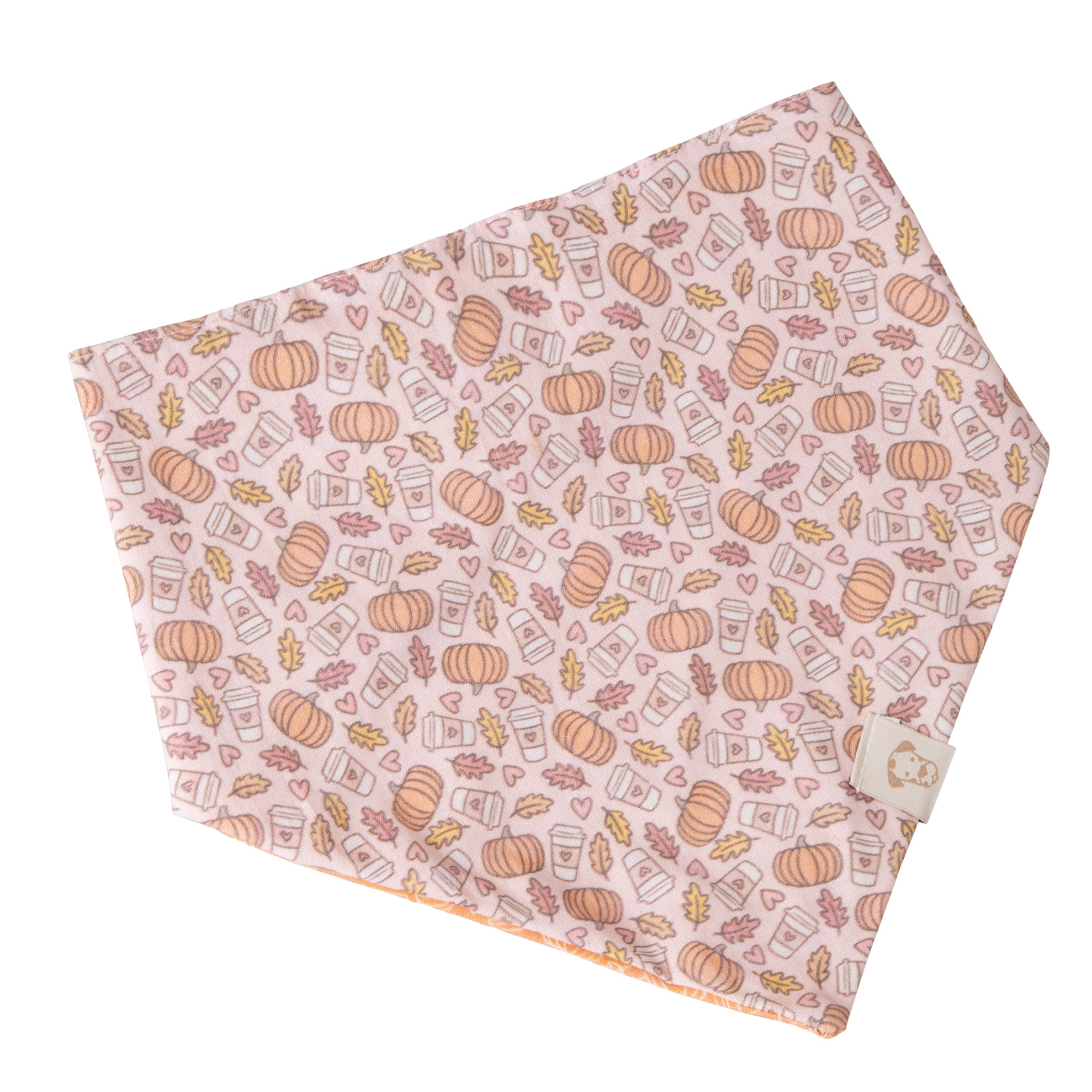 Fall Pet Bandana Pumpkin Spice Latte
